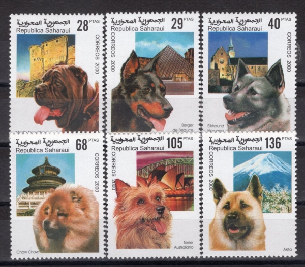 SAHARAUI(���϶� �ƶ� ���� ��ȭ��)-#NO(6��)-DOGS(��)-2000��