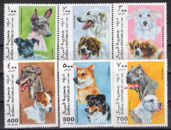 SOMALI(�Ҹ���)-#NO(6��)-DOGS(��)-1999��