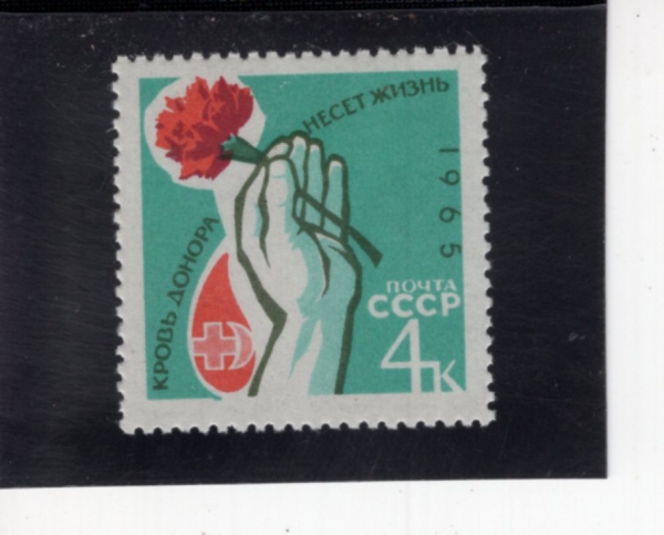 RUSSIA(���þ�)-#2997-4k-HAND HOLDING CARNATION AND DONORS\