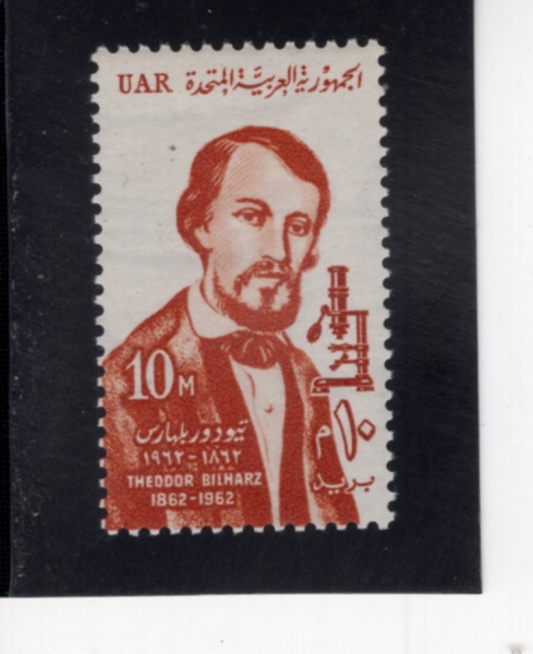 EGYPT(����Ʈ)-#553-10m-THEODOR BILHARZ(�׿����� ���ϸ���)-1962.6.24��