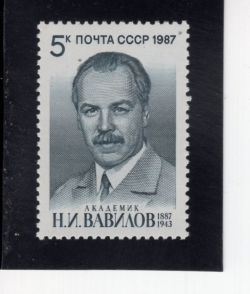 RUSSIA(���þ�)-#5616-5k-NIKOLAI IVANOVICH VAVILOV(���ݶ��� �ٺ�����)-1987.11.25��