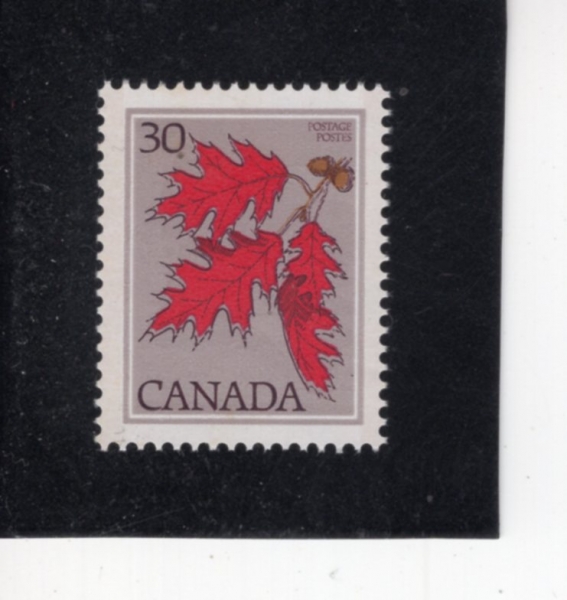 CANADA(ĳ����)-#720-30c-RED OAK(��������)-1978��
