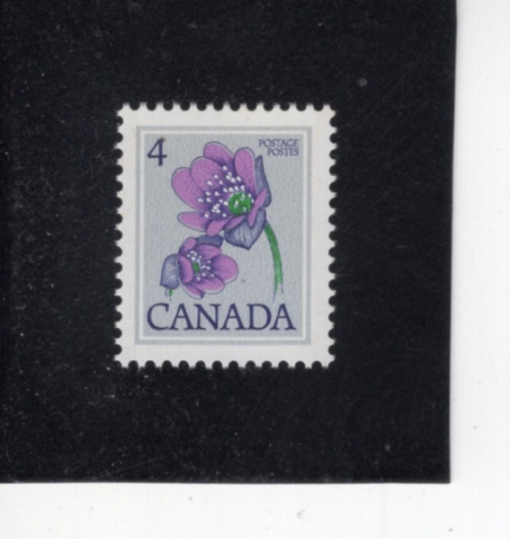CANADA(ĳ����)-#784-4c-HEPATICA(����)-1979��