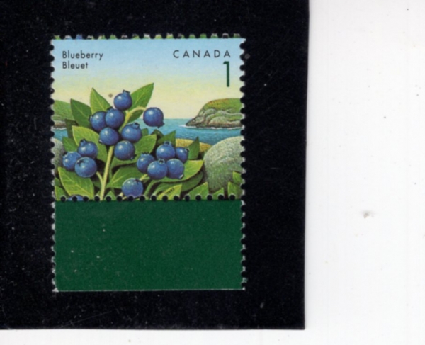 CANADA(ĳ����)-#1349-1c-EDIBLE BERRIES(����)-1992.8.5��