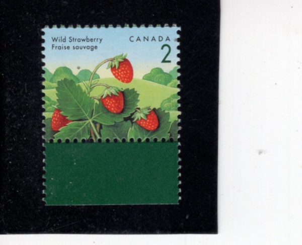 CANADA(ĳ����)-#1350-2c-WILD STRAWBERRY(�߻�����)-1992.8.5��