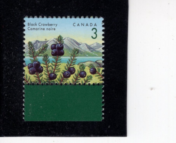 CANADA(ĳ����)-#1351-3c-BLACK CROWBERRY(��������)-1992.8.5��