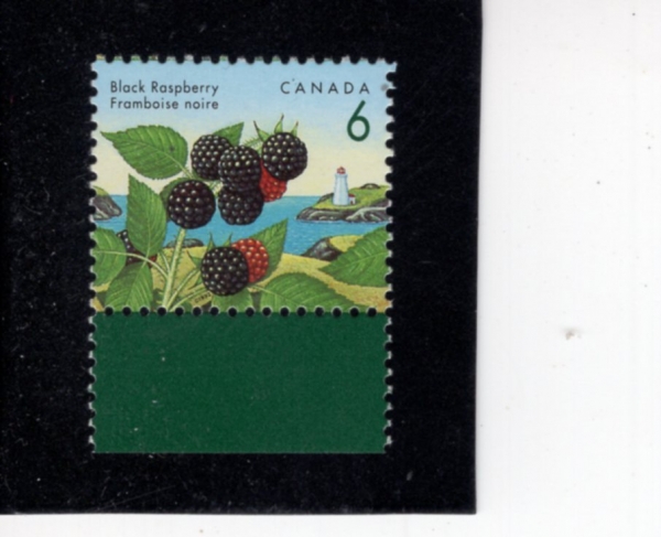 CANADA(ĳ����)-#1353-6c-BLACK RASPBERRY(���� �����)-1992.8.5��