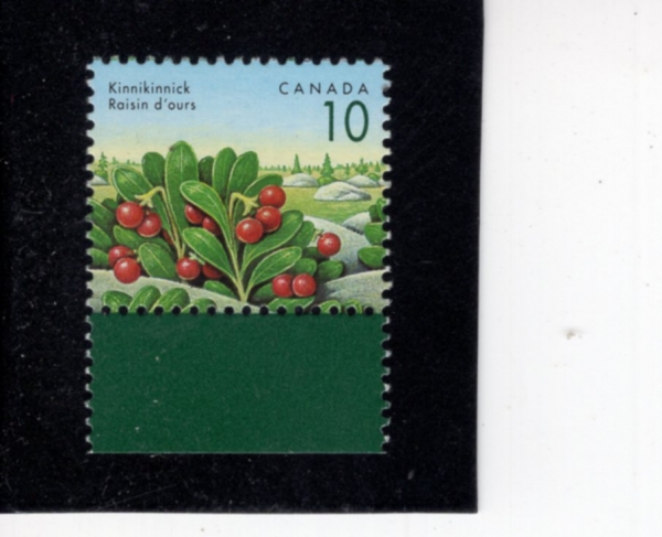 CANADA(ĳ����)-#1354-10c-KINNKINNICK(�����)-1992.8.5��