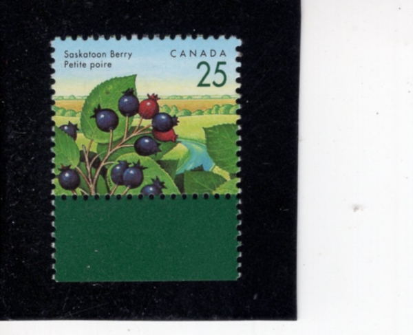 CANADA(ĳ����)-#1355-25c-SASKATOON BERRY(����Ŀ�� ����)-1992.8.5��