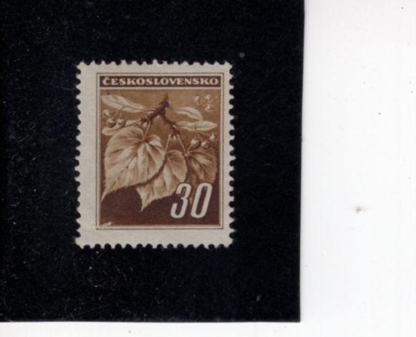 CZECHOSLOVAKIA(ü�ڽ��ι�Ű��)-#257-30h-LINDEN LEAVES AND BUDS(���� ����, ����)-1945��