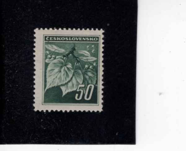 CZECHOSLOVAKIA(ü�ڽ��ι�Ű��)-#258-50h-LINDEN LEAVES AND BUDS(���� ����, ����)-1945��