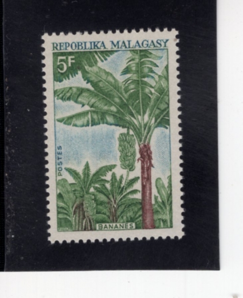 MALAGASY REPUBLIC(���ٰ���ī��)-#427-5fr-BANANA PLANTS(�ٳ��� ���)-1969.7.7��