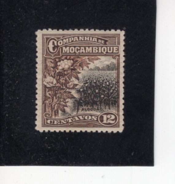 MOZAMBIQUE COMPANY(�����ũ ȸ��)-#128-12c-COTTON FIELD(��ȭ��)-1923��