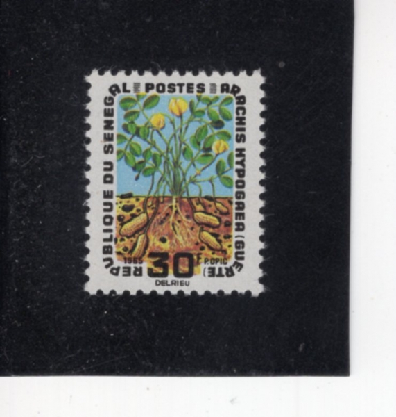 SENEGAL(���װ�)-#260-30fr-PEANUTS(����)-1965.12.18��