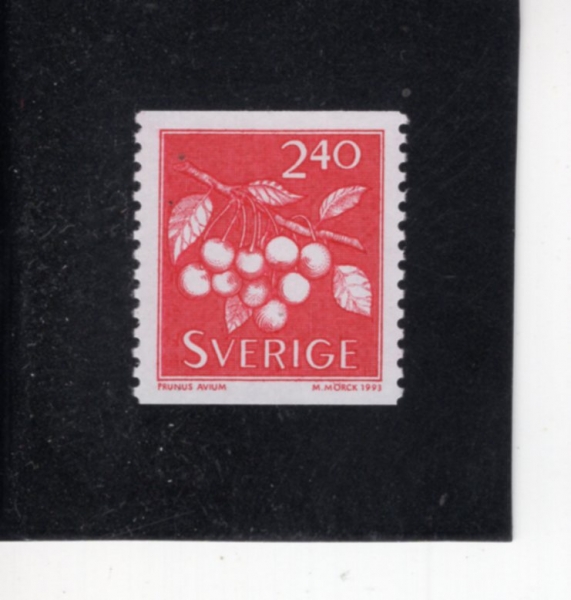 SWEDEN(������)-#2004-2.40k-PRUNUS AVIUM(���紩�� �ƺ��)-1993.3.25��