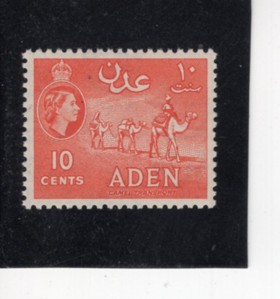 ADEN(����)-#49-10c-CAMEL TRANSPORT(��Ÿ ����)-1953��