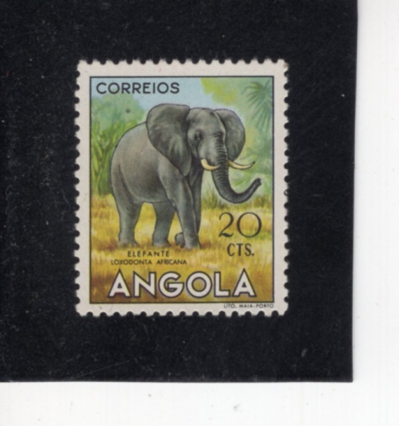 ANGOLA(�Ӱ��)-#364-20c-ELEPHANT(�ڳ���)-1953.8.15��