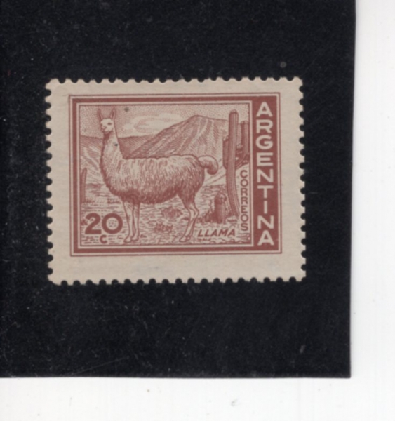 ARGENTINA(�Ƹ���Ƽ��)-#698-20p-LLAMA(��)-1960��