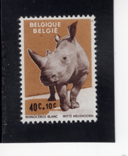 BELGIUM(���⿡)-#B690-40+10c-WHITE RHINOCEROS(���ڻԼ�)-1961.6.5��