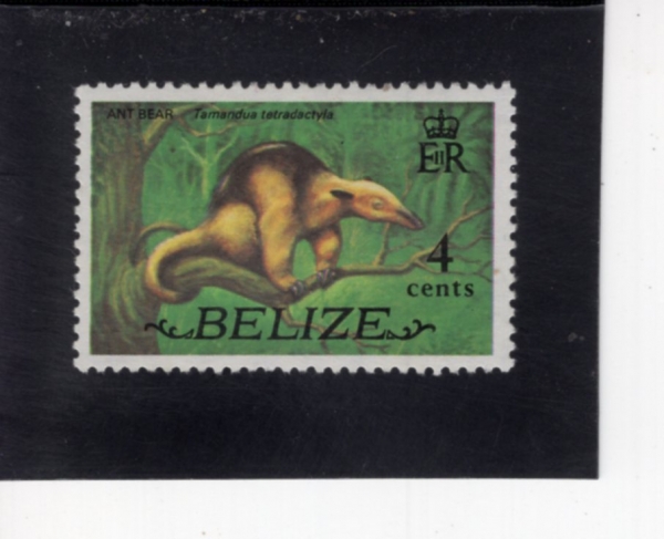 BELIZE(������)-#331-4c-COLLARED ANTEATER(Į�� �����ӱ�)-1974.1.1��