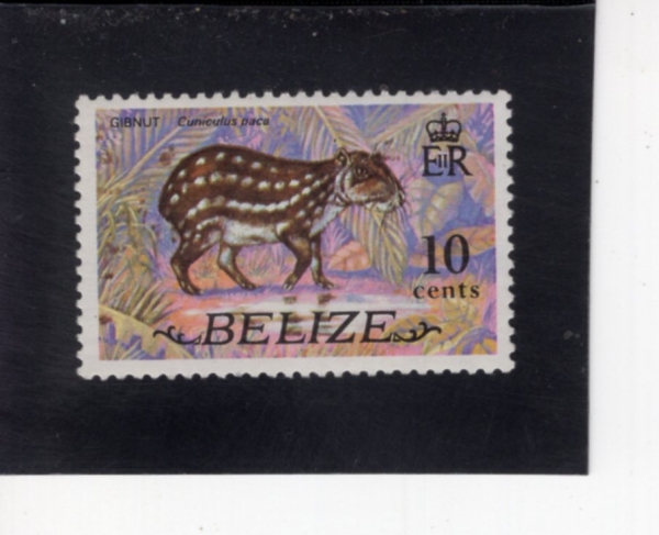 BELIZE(������)-#333-10c-PACA(��ī)-1974.1.1��
