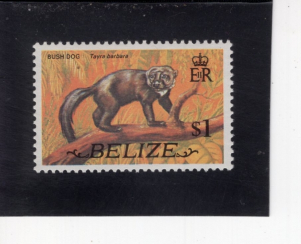 BELIZE(������)-#337-$1-TAYRA(Ÿ�̶�)-1974.1.1��