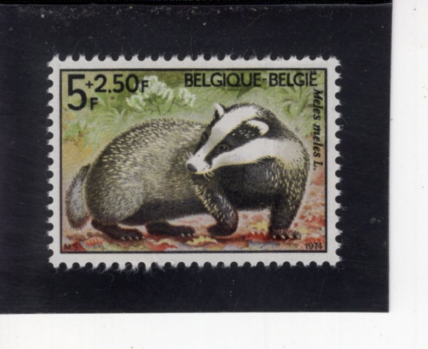BELGIUM(���⿡)-#B920-5+2.50fr-BADGER(���Ҹ�)-1974.12.8��