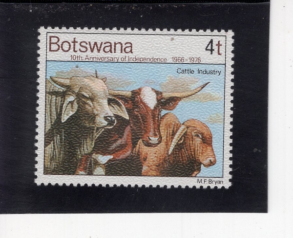 BOTSWANA(�����ͳ�)-#169-4t-CATTLE INDUSTRY(���� ���)-1976.9.30��