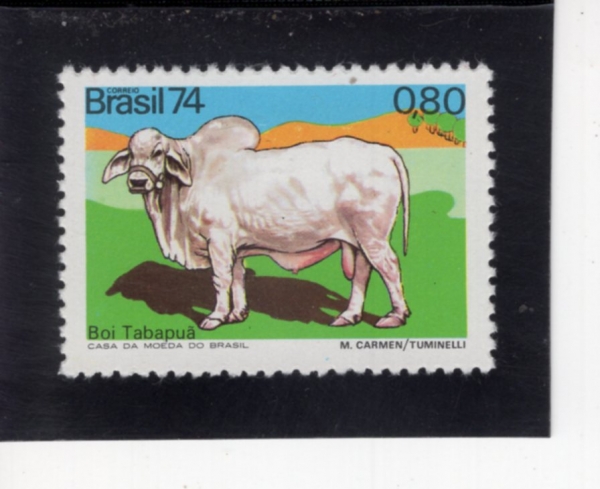 BRAZIL(�����)-#1367-80c-HORNLESS TABAPUA(Ÿ��Ǫ��)-1974.11.10��