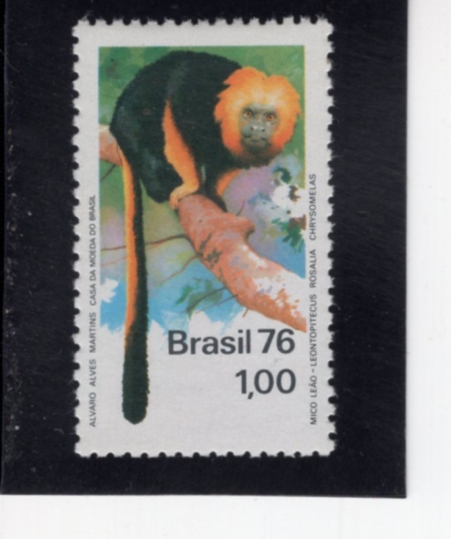 BRAZIL(�����)-#1439-1cr-GOLDEN-FACED LION MONKEY(Ȳ�� ���� Ÿ����)-1976.6.4��