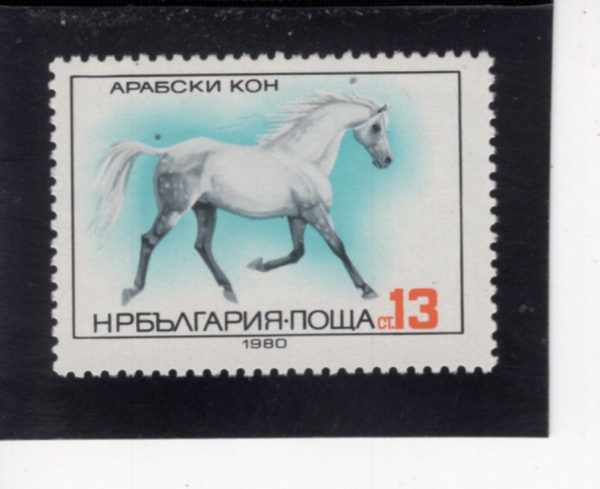 BULGARIA(�Ұ�����)-#2742-13s-ARABIAN HORSE(�ƶ��� ��)-1980.11.27��