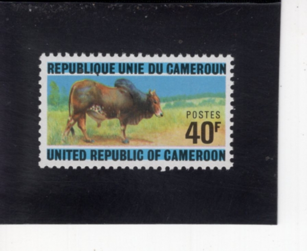 CAMEROUN(ī�޷�)-#588-40fr-ZEBU(����)-1974.6.1��