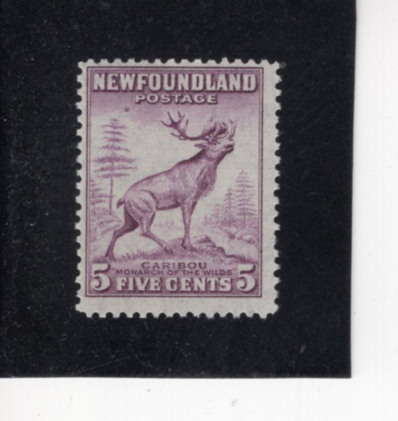 NEWFOUNDLAND(���ݵ鷣�弶)-#191-5c-CARIBOU(����)-1932��