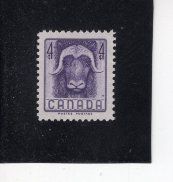 CANADA(ĳ����)-#352-4c-MUSK OX(���� ��)-1955.4.4��