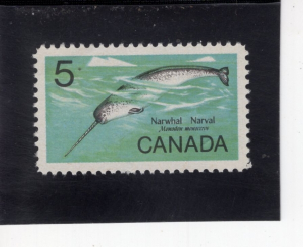 CANADA(ĳ����)-#480-5c-MALE NARWHAL(�ϰ�����)-1968.4.10��