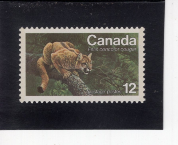 CANADA(ĳ����)-#732-12c-EASTERN COUGAR(���� ǻ��)-1977.3.30��