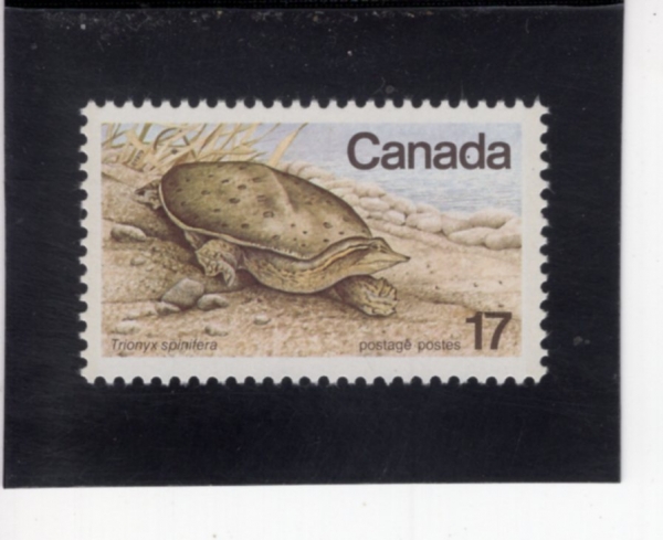 CANADA(ĳ����)-#813-17c-SOFT-SHELLED TURTLE(�����ź�)-1979.4.10��
