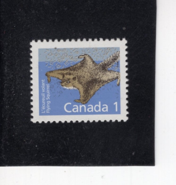 CANADA(ĳ����)-#1155-1c-FLYING SQUIRREL(���ٶ���)-1987��