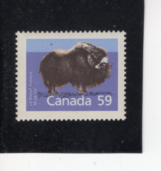 CANADA(ĳ����)-#1174-59c-MUSK-OX(�ӽ��ڽ�)-1989.1.18��