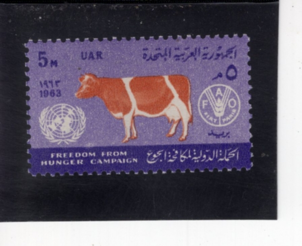 EGYPT(����Ʈ)-#582-5m-COW, UN AND FAO EMBLEM(��, ����, ����ķ��ⱸ)-1963.3.21��
