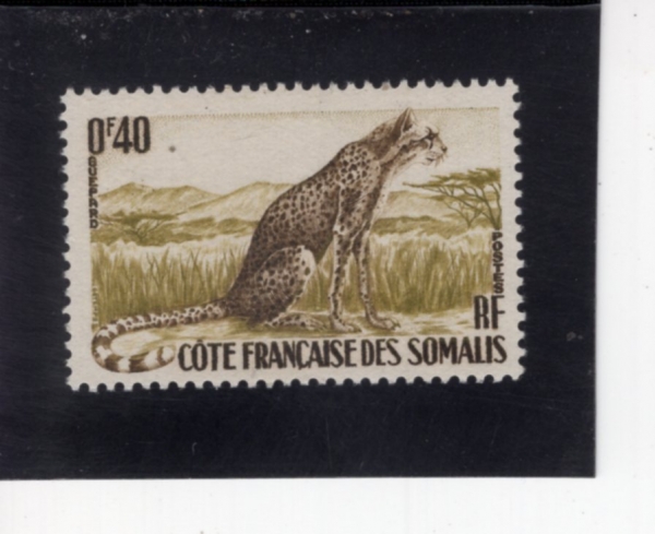 SOMALIA COAST(�Ҹ������� �ؾȼ�)-#272-40c-CHEETAH(ġŸ)-1958�� 