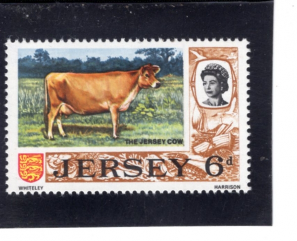 JERSEY(����)-#13-6p-JERSEY COW(���� ��)-1969.10.1��