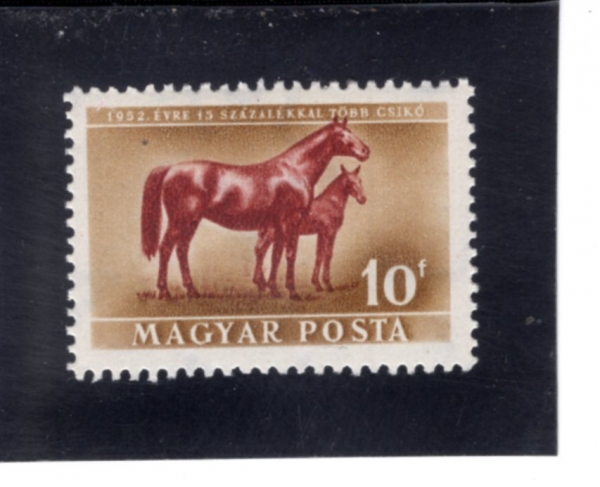 HUNGARY(�밡��)-#929-10f-MARE AND FOAL(���� ��, ���� ��)-1951.4.5��