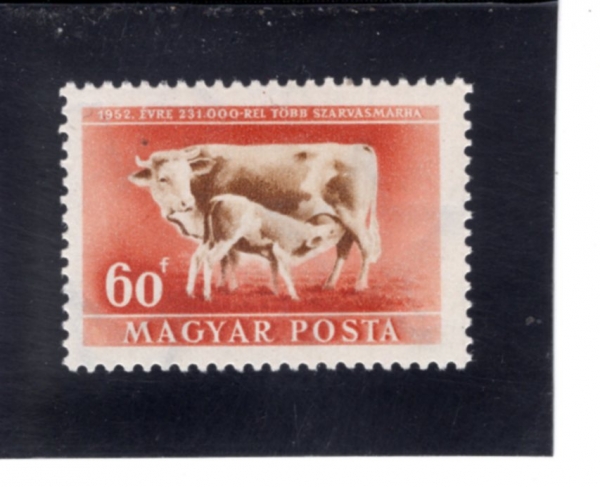 HUNGARY(�밡��)-#932-60f-COW AND CALF(�ϼ�, �۾���)-1951.4.5��