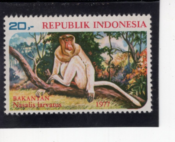 INDONESIA(�ε��׽þ�)-#1014-20r-PROBOSCIS MONKEY(�ֵ��� ������)-1958��