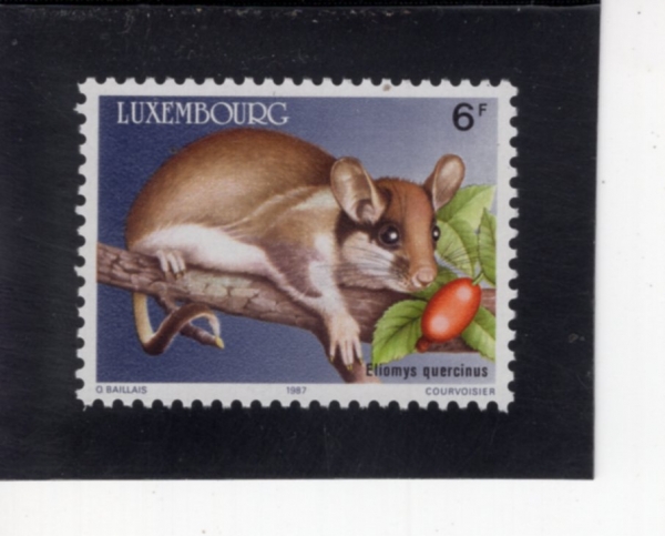 LUXEMBOURG(����θ�ũ)-#763-6fr-ELIOMYS QUERCINUS(���� �����)-1987.3.9��