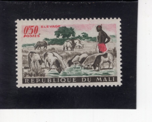 MALI(����)-#16-50c-SHEPHERD AND SHEEP(��, ��)-1961.12.24��