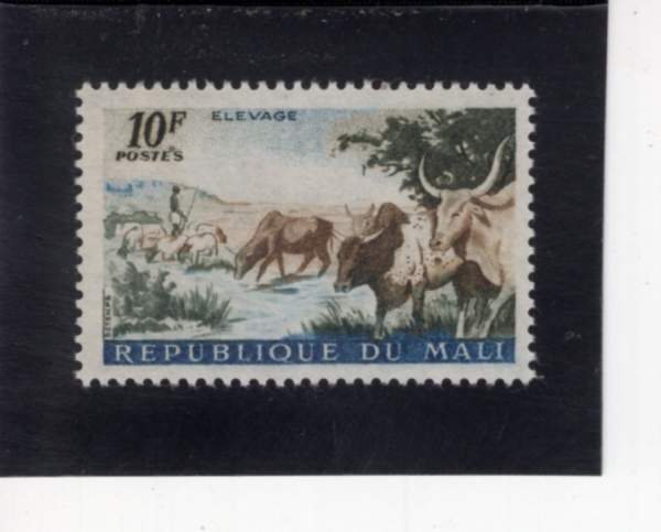 MALI(����)-#22-10fr-SHEPHERD AND CATTLE(��, ��)-1961.12.24��