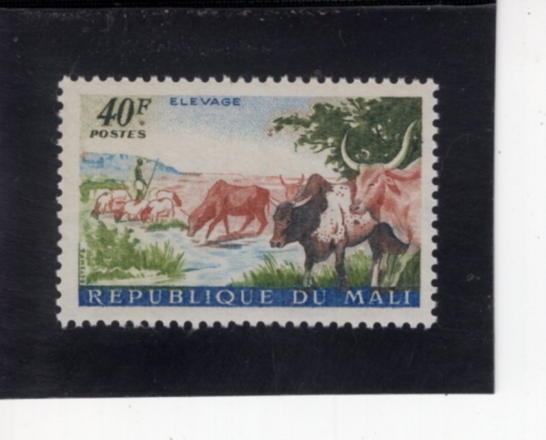 MALI(����)-#27-40fr-SHEPHERD AND CATTLE(��, ��)-1961.12.24��