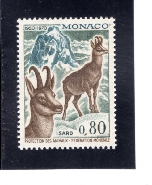 MONACO(����)-#763-80c-PYRENEAN CHAMOIS(�Ƿ��� ������)-1970.5.4��